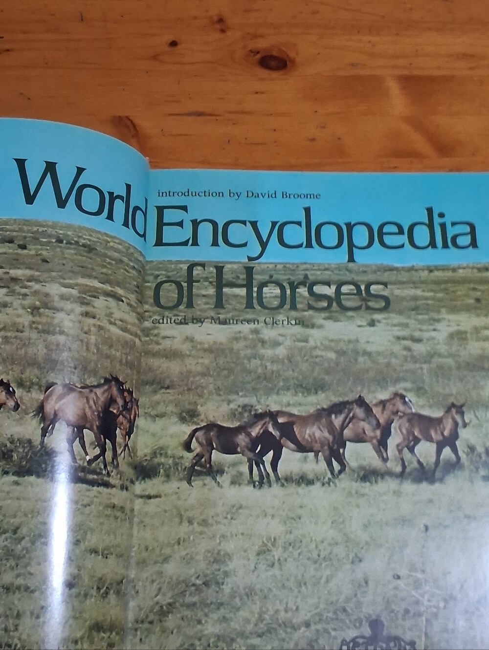 World Encyclopedia of Horses — Coral Hardcover Book